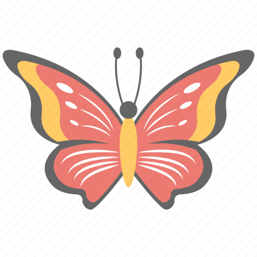 Beautiful fly, butterfly, colorful, creature, insect icon - Download on Iconfinder