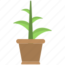 brown pot, new plant, plant, planting, pot 