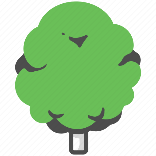 Beech, beech tree, branch, nature, oak, plant, tree icon - Download on Iconfinder