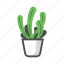 cactus, decoration, garden, plant, pot, prickly, thorn 