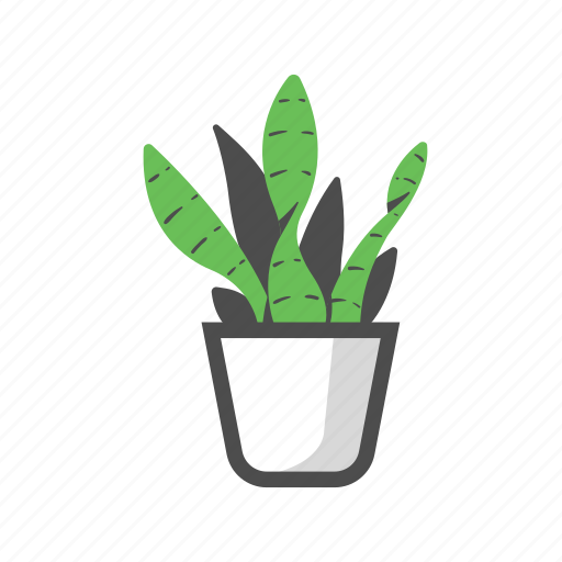 Decorative, houseplant, mothers in law tongue plant, nature, plant, potplant, sansevieria icon - Download on Iconfinder