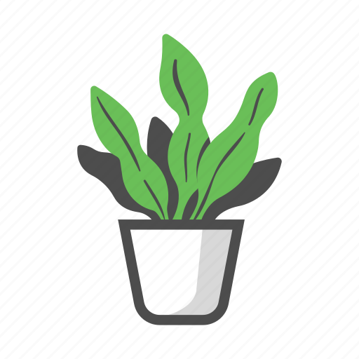 Houseplant, nature, plant, pot, sansevieria, snake plant, trifasciata icon - Download on Iconfinder