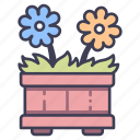 bloom, flora, flower, flowerpot, plant, pot