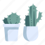 cactus, decoration, garden, plant, pot, thorn 