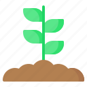 sprout, plant, leaf, leaves, gardening