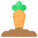 carrot, vegetable, gardening, farm, harvest 