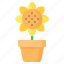 flower, pot, sunflower, blossom, gardening 