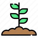 sprout, plant, leaf, leaves, gardening