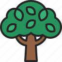tree, growth, ecology, botanical, nature, forest, plant