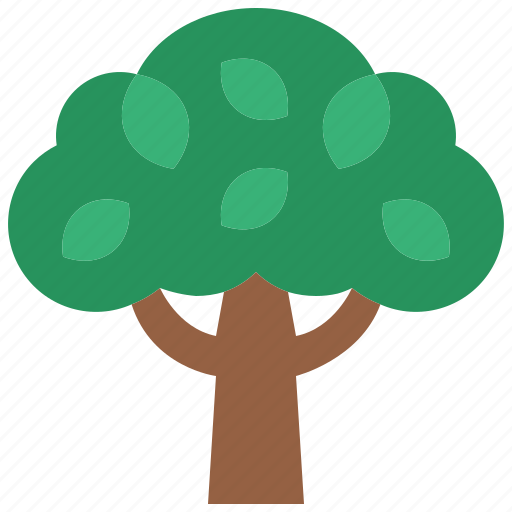 Tree, growth, ecology, botanical, nature, forest, plant icon - Download on Iconfinder