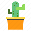 cactus, garden, gardening, nature, plant