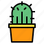 cactus, forest, nature, plant, trees 