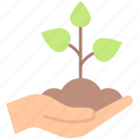 farmers, hand, green, growing, plant, food, format, drink, flag