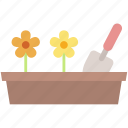 potted, colored, flowers, gardening, high quality, tool, nature, social media, food