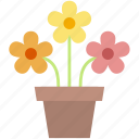 potted, colored, spring, flowers, gardening, nature, equipment, farming, farm