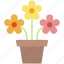 potted, colored, spring, flowers, gardening, nature, equipment, farming, farm 