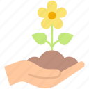 yellow, flower, gardeners, hand, nature, finger, food, plant, floral