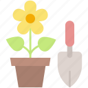 yellow, flower, trowel, nature, food, tool, action, business, plant