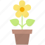 yellow, potted, spring, flower, face, nature, food, action, garden 
