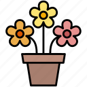 potted, flowers, gardening, nature, spring, tool, farming, bouquet, agriculture