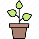 potted, green, plant, environment, nature, energy, tree, garden, ecology