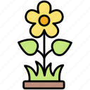 yellow, flower, grass, nature, interaction, food, green, text, garden