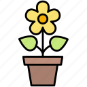 yellow, potted, flower, gardening, nature, equipment, farming, agriculture, garden