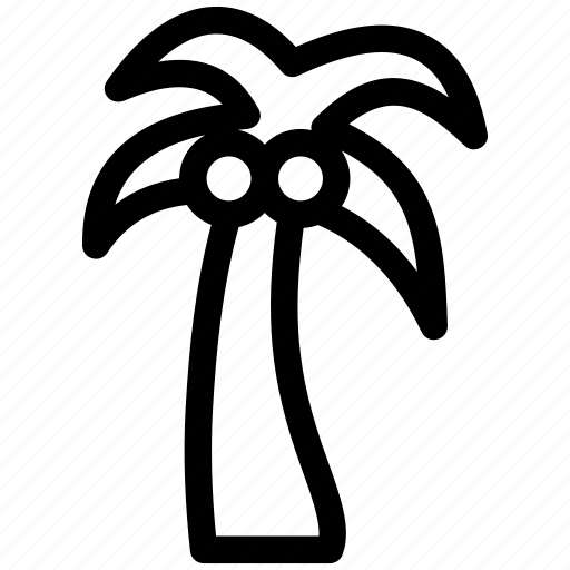 Palm, tree, plant, leaf, nature icon - Download on Iconfinder