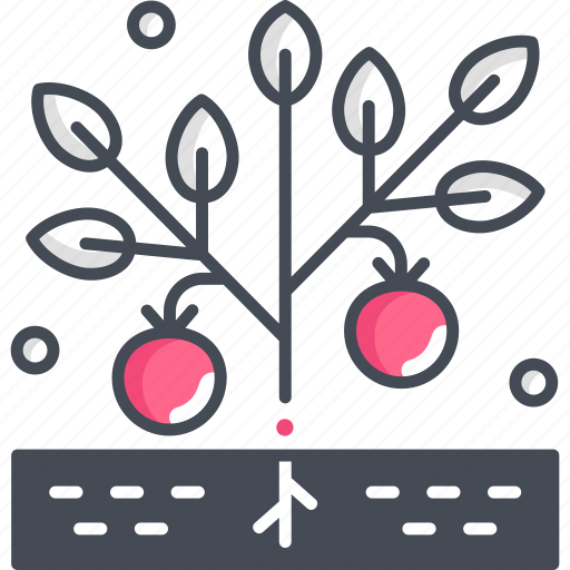 Plant, fruit, christmas, xmas, ornament icon - Download on Iconfinder