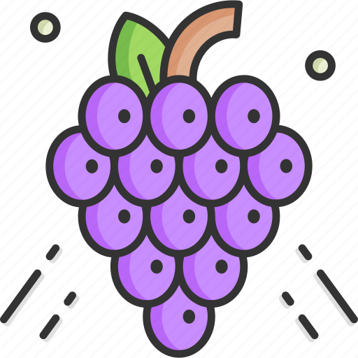 Grapes, fruit, grape, fruits, bouquet, berry icon - Download on Iconfinder