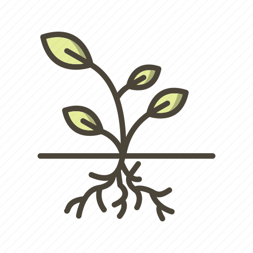 Plant, root, roots icon - Download on Iconfinder