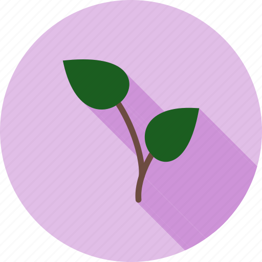Green, growing, nature, plant, seedling, tree, young icon - Download on Iconfinder