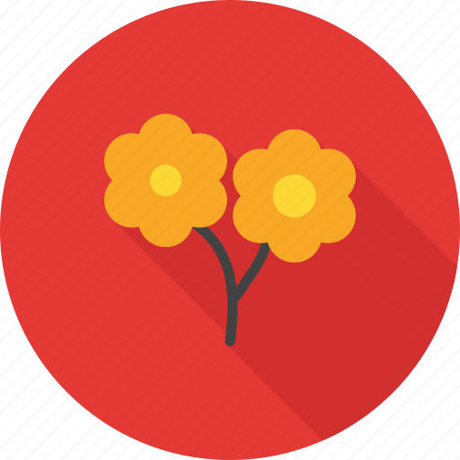 Flower, flowers, garden, nature, rose, roses, spring icon - Download on Iconfinder