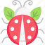 ladybug, entomology, garden, bug, spring, insect, nature 