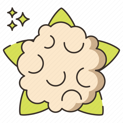 Cauliflower, cooking, food, vegetable icon - Download on Iconfinder