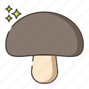 food, mushroom, mushrooms, vegetable