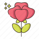 flower, rose, rosebush