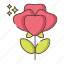 flower, rose, rosebush 