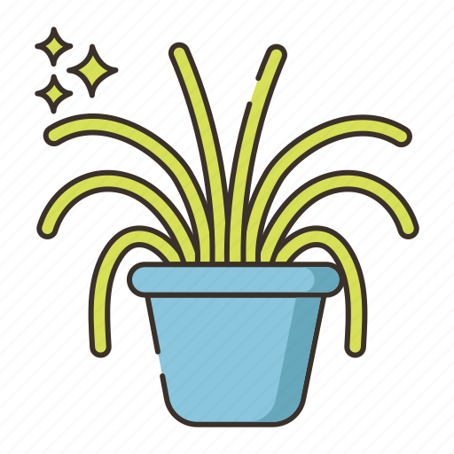 Nature, plant, spider icon - Download on Iconfinder