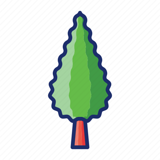 Cypress, green, nature, tree icon - Download on Iconfinder