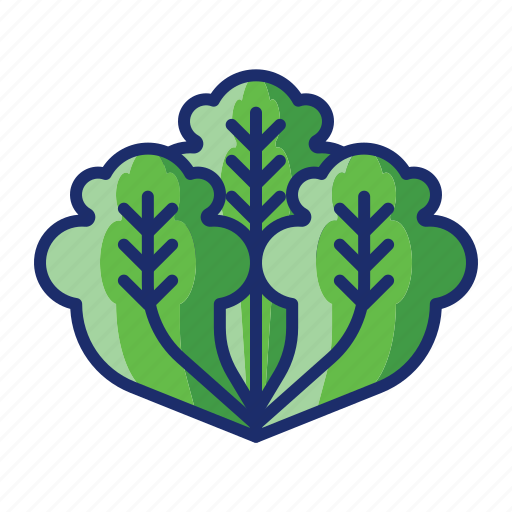 Food, green, lettuce, vegetable icon - Download on Iconfinder