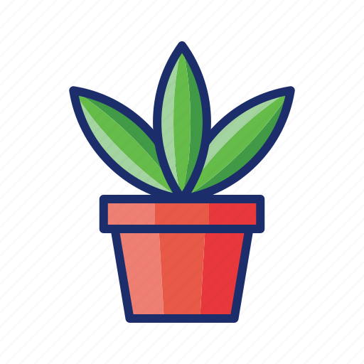 Green, nature, ornamental, plant icon - Download on Iconfinder
