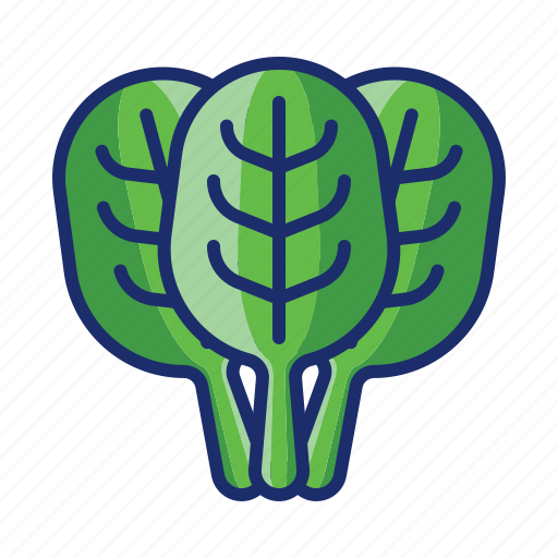 Garden, plant, spinach, vegetable icon - Download on Iconfinder