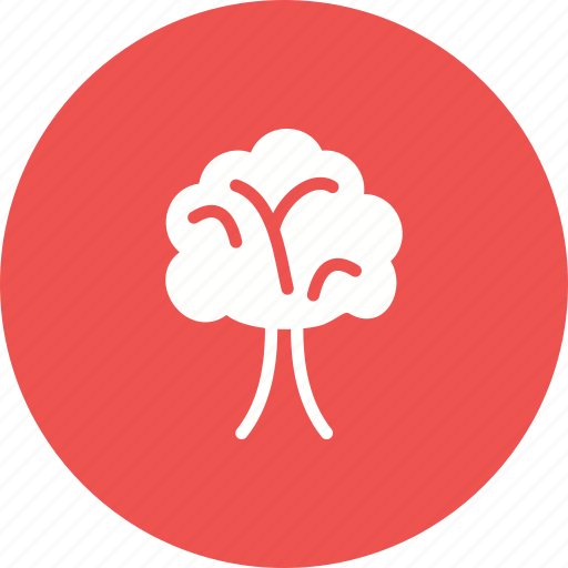 Environment, green, nature, spring, summer, tree, trees icon - Download on Iconfinder
