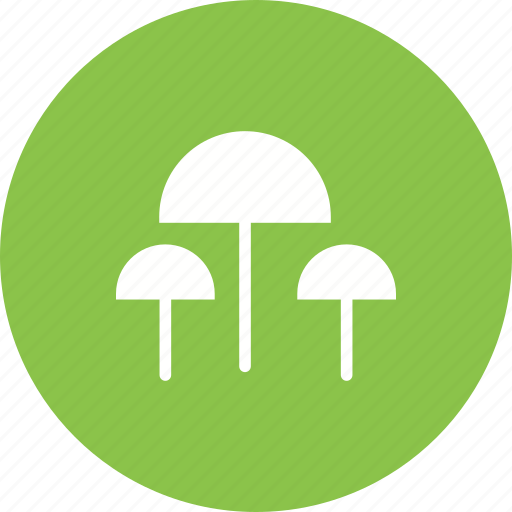 Food, healthy, mushroom, mushrooms, organic, oyster icon - Download on Iconfinder