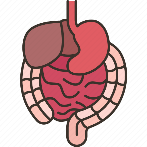 Gastrointestinal, digestion, stomach, health, wellness icon - Download on Iconfinder