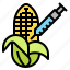 corn, engineering, genetic, gmo, plant 