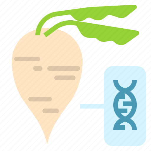Engineering, genetic, gmo, plant, sugarbeet icon - Download on Iconfinder