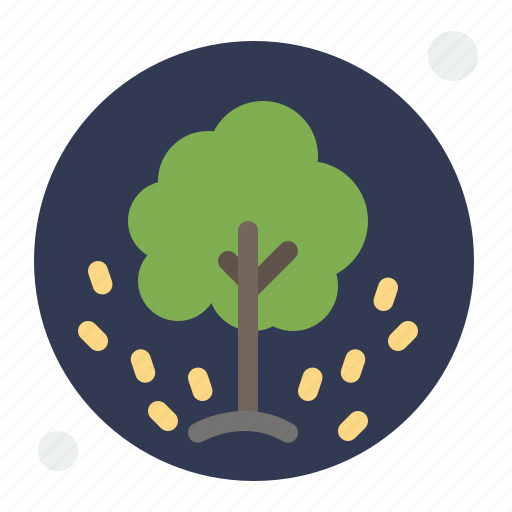Nature, plant, seeds, summer, tree icon - Download on Iconfinder