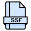 file, file extension, file format, file type, ssf 